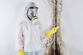 Mold Documentation for Insurance Claims in Red Hill, SC